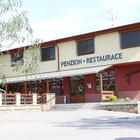 Maderic 게스트하우스 Moravský Žižkov