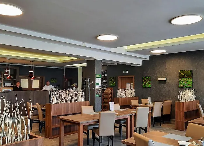 Maderic בית הארחה Moravský Žižkov
